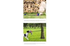 China Indestructible Natural TPR Dog Molar Chew Toy Toothbrush Drawstring Ball Multifunctional supplier