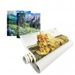 Latex Eco Solvent Inkjet 350gsm Self Adhesive Polyester Wall Fabric Canvas