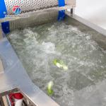 Canteen 1000KG/H Fruit And Vegetable Cutter Shredding Slicing And Dicing