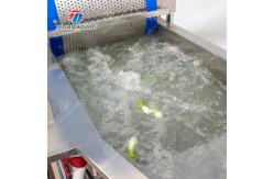 China Canteen 1000KG/H Fruit And Vegetable Cutter Shredding Slicing And Dicing supplier