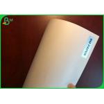 100% Food Grade And Adiabatic PE Coated Paper For Making Fast Food Platter Paper Cup for sale