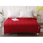 5cm Binding 200x230cm Microfiber Quilted Quilt for sale