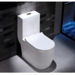 Dual Flush Washdown Siphonic One Piece Toilet Models P Trap S Trap for sale