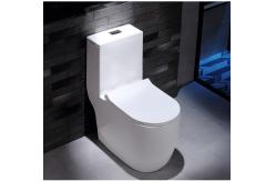 China Dual Flush Washdown Siphonic One Piece Toilet Models P Trap S Trap supplier