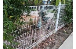 China Triangle Bend H830mm Welded Wire Garden Fence supplier