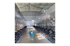 China Automatic Parallel Cow  Herringbone Milking Parlor Quick Release supplier