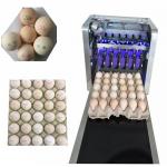 Easy To Maintain Egg Continuous Inkjet Printer For Expiration / Expiry Date for sale
