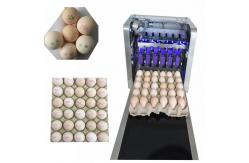 China Easy To Maintain Egg Continuous Inkjet Printer For Expiration / Expiry Date supplier