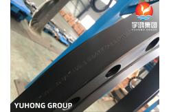 China Carbon Steel A105 Customized Flange Raised Face PT Available supplier