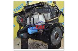 China High Quality Nissan QD32/QD32 Turbo Used Engine Diesel Engine supplier