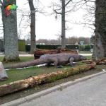 Realistic Animatronic Komodo Dragon With Dynamic Motion & Natural Habitat Detailing for sale