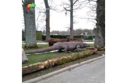 China Realistic Animatronic Komodo Dragon With Dynamic Motion & Natural Habitat Detailing supplier