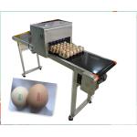 CE ISO Industrial Inkjet Printer , Egg Inkjet Marking Equipment 12v 4a for sale