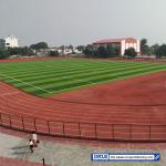 Odorless Breathable Plastic Running Track Mixed EPDM Spray Coating Jogging Track
