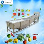 Custom Lettuce Fruit And Veg Cleaning Machine Washer 500-1000kg/hour for sale