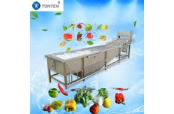 China Custom Lettuce Fruit And Veg Cleaning Machine Washer 500-1000kg/hour supplier