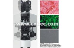 China Laboratory Compound Optical Microscope with Infinity Trinocular Head supplier