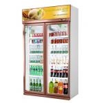 Upright Commercial Beverage Drink Chiller With Double Glass Door for sale