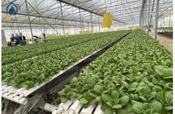 China Indoor Vertical Farming NFT Hydroponic System PVC Tube Growing System supplier