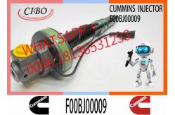 China Engineering Machinery QSK19 Truck Engine System Accessories F00BJ00009 Diesel Fuel Injector supplier