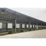 Modern Large Multi Span Greenhouse With Hydroponic System For Phalaenopsis Mochis Planting