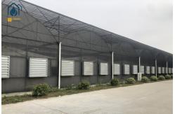 China Modern Large Multi Span Greenhouse With Hydroponic System For Phalaenopsis Mochis Planting supplier