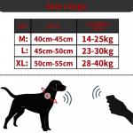 Reflective GPS Polyester Pet Collars Leashes With Customizable Logo