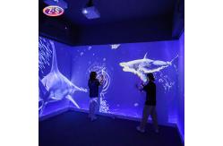 China Full Sensory Storytelling Interactive Immersive Experience Space For Art Galleries  supplier