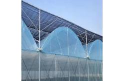 China White Plastic Agricultural Film with Thickness 20 Micron Recyclable supplier
