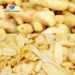 Industrial Fruit And Vegetable Processing Line Brush Bubble Cleaning Drying Selection And Cutting