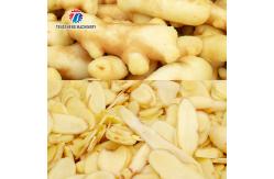 China Industrial Fruit And Vegetable Processing Line Brush Bubble Cleaning Drying Selection And Cutting supplier