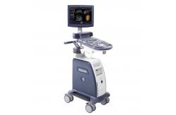 China Obstetrical Fetal Echo GE Voluson P8 Ultrasound Machine supplier