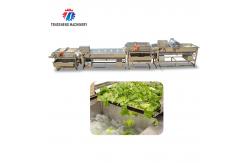 China Silver Fruit And Vegetable Peeler Machine Model and Durable supplier