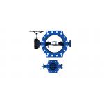 RAL5010 SS316L Disc Seat Double Eccentric Butterfly Valve DN350mm for sale