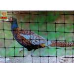 Rust Proof Plastic Pheasant Netting Fencing, Plastic Poultry Netting, PP Materials, Black Color, 2M High for sale