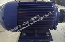 China High Power Performance High Accuracy  2387Nm AC Dynamometer supplier