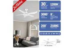 China 48in 230V 5 ABS Blades Decorative Ceiling Fans With Lights supplier