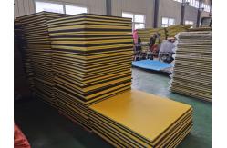 China EVA Interlocking Gym Foam Mat 20mm 25mm For Taekwondo supplier