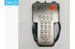 China Ocean Fluid Intrinsic Safety Explosion-Proof 22 Channel Industrial Wireless Remote Control supplier