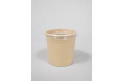 China Biodegradable Soup Bowls With Lids 12OZ supplier