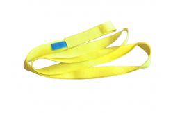 China 100% Polyester Endless Webbing Sling supplier