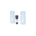 Sperm Reactive Oxygen Species DHE Staining Kit For ROS Flow Cytometry for sale