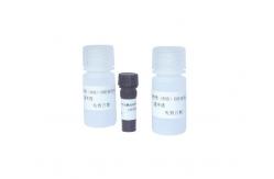 China Sperm Reactive Oxygen Species DHE Staining Kit For ROS Flow Cytometry supplier