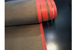 China FDA Passed 1 X 1mm 4 X 4mm Ptfe Mesh Conveyor Belt supplier