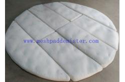 China 2500 mm Custom Order 8 Parts Plastic PTFE Knitting Mesh Demister Pad supplier