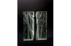 China Graphic Design 3D Clear Carved 5mm SGCC Crystal Acrylic Glass supplier