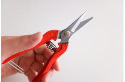 China Quality Professional Cutting Scissors Pointed Tip Design Pivot Mechanism 160mm supplier