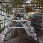 Silver Color A Type Battery Layer Chicken Cage Good Ventilation for sale