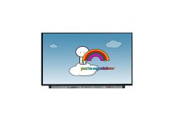 China Size 15.6 inch B156ZAN04.2 40 pins TFT LCD Display supplier