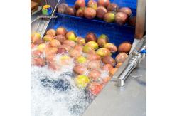 China Circulating Hole Fruit Processing Line ,  Tengsheng Roller Conveying Vegetable Processing Line supplier